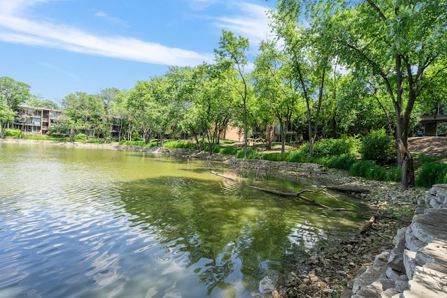 6021 Forest View Rd Unit 2C, Lisle, IL 60532 - water view