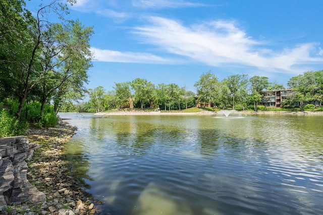 6021 Forest View Rd Unit 2C, Lisle, IL 60532 - water view