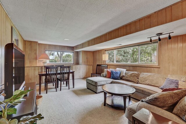 221 S Fair Ave, Elmhurst, IL 60126 - photo 23