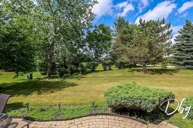 462 Nuthatch Way, Lindenhurst, IL 60046 - photo 27