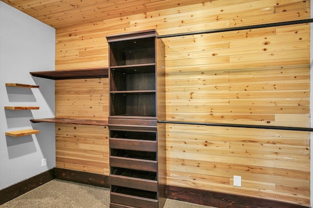 403 E Cooke St, Mount Pulaski, IL 62548 - view of closet