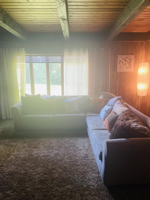 907 E 162nd Pl, South Holland, IL 60473 - living area featuring a wood ceiling with exposed beams, wooden walls, and carpet floors