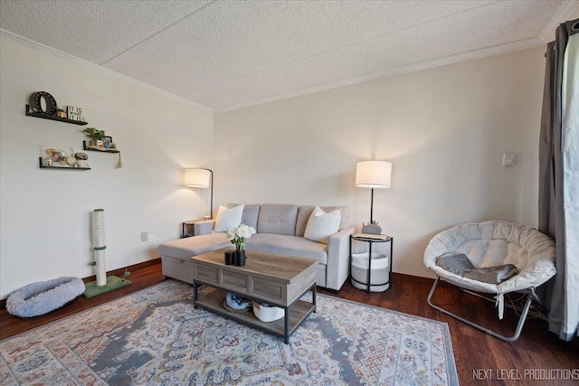 1050 N Farnsworth Ave Unit 202, Aurora, IL 60505 - living area with wood finished floors, ornamental molding, and a textured ceiling