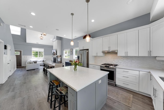 228 Juneway Ter, Lake Bluff, IL 60044 - kitchen with stainless steel appliances, under cabinet range hood, open floor plan, wood finished floors, and light countertops