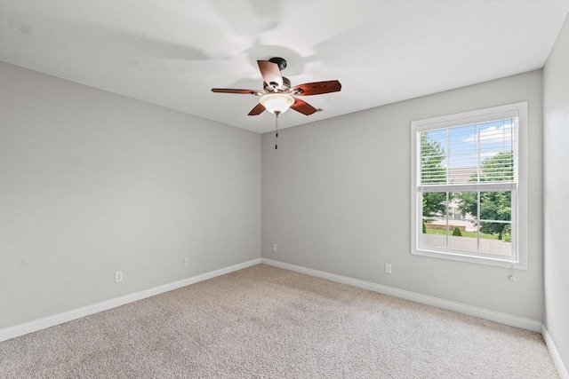 733 Sedgegrass Dr, Champaign, IL 61822 - photo 21