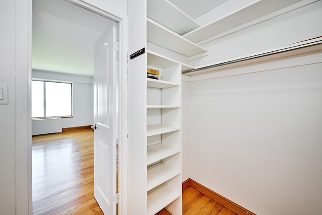 7033 N Kedzie Ave Unit 1706, Chicago, IL 60645 - walk in closet with light wood-style flooring
