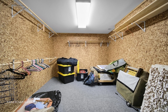 4 Dryden Ct, Algonquin, IL 60102 - spacious closet featuring carpet