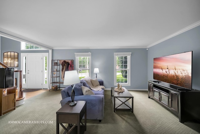 4 Dryden Ct, Algonquin, IL 60102 - carpeted living area featuring crown molding and baseboards