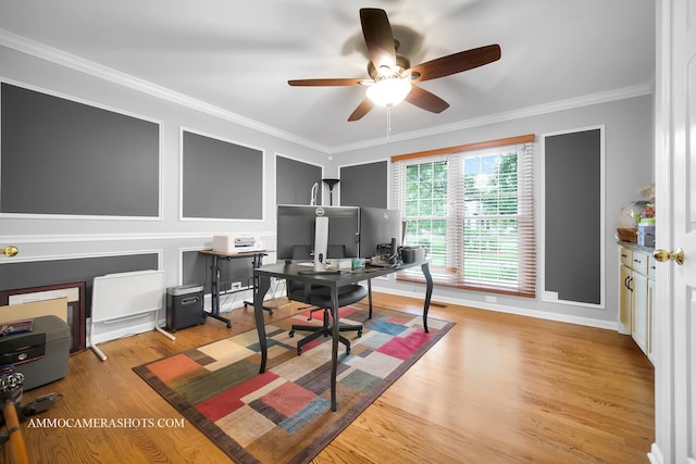 4 Dryden Ct, Algonquin, IL 60102 - office space with a ceiling fan, crown molding, and light wood-style flooring