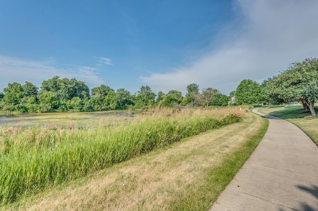3866 Kingsmill Dr, Elgin, IL 60124 - view of street