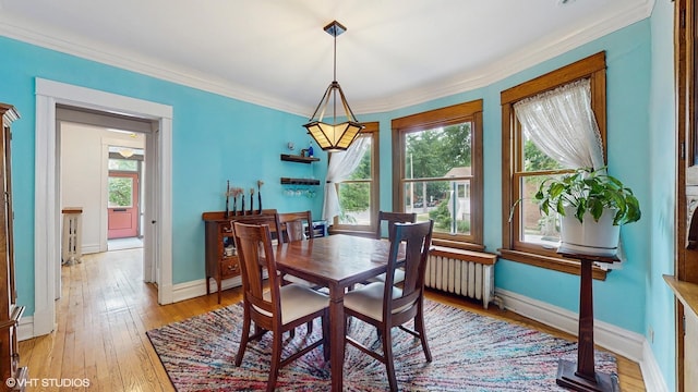 1150 S Oak Park Ave, Oak Park, IL 60304 - dining room featuring plenty of natural light, crown molding, light wood-style flooring, and radiator