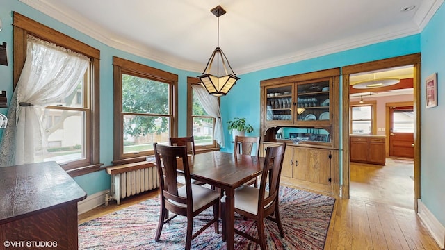 1150 S Oak Park Ave, Oak Park, IL 60304 - dining room featuring light wood-style flooring, radiator, and ornamental molding