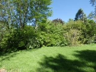 5140 N 4300w Rd, Bourbonnais, IL 60914 - view of green lawn