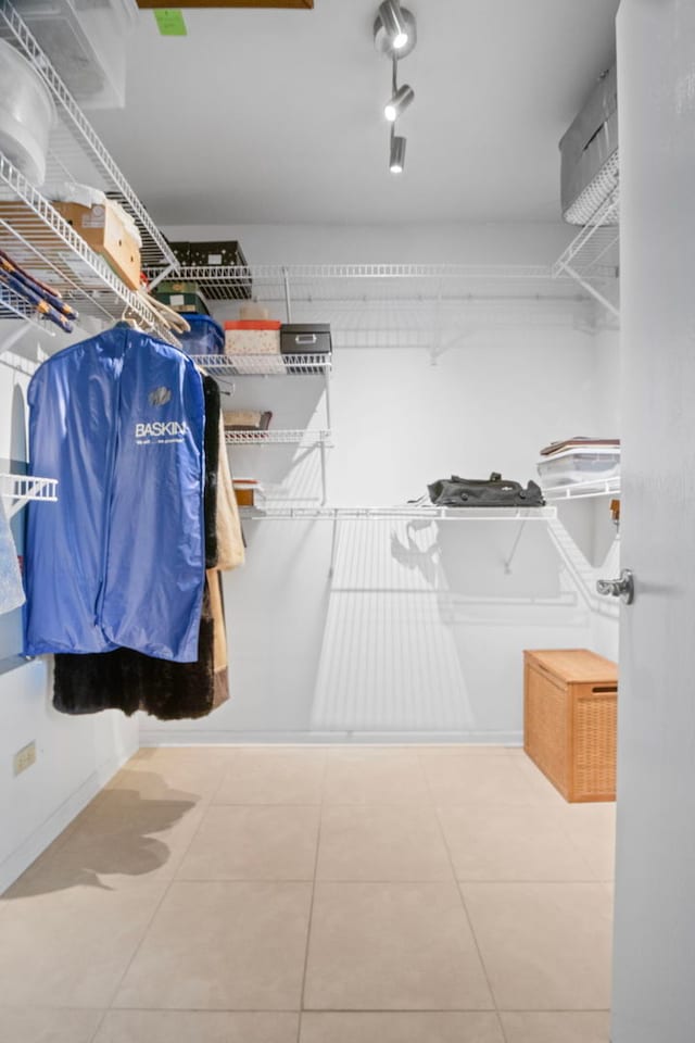 21309 Silktree Cir, Plainfield, IL 60544 - view of walk in closet