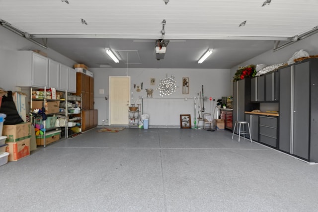 21309 Silktree Cir, Plainfield, IL 60544 - garage with a garage door opener