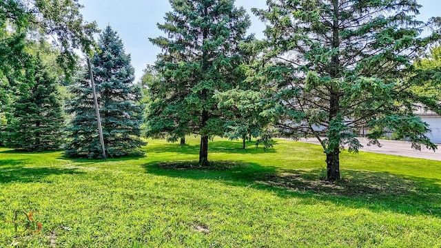 1845 Lasalle St, Ottawa, IL 61350 - photo 5