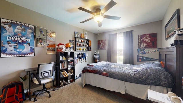 1111 Ashford Ct, Mahomet, IL 61853 - photo 34