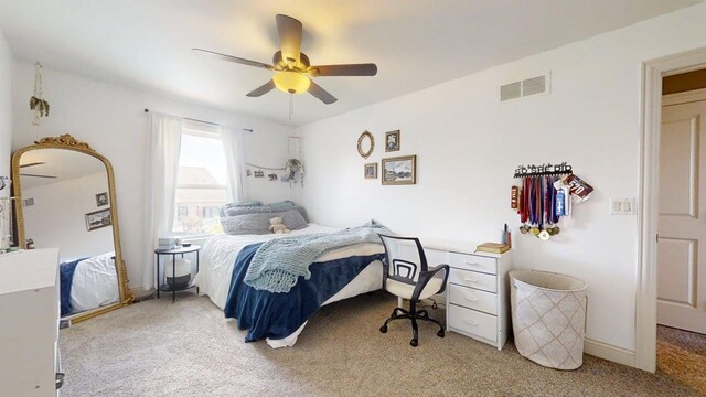 1111 Ashford Ct, Mahomet, IL 61853 - photo 36
