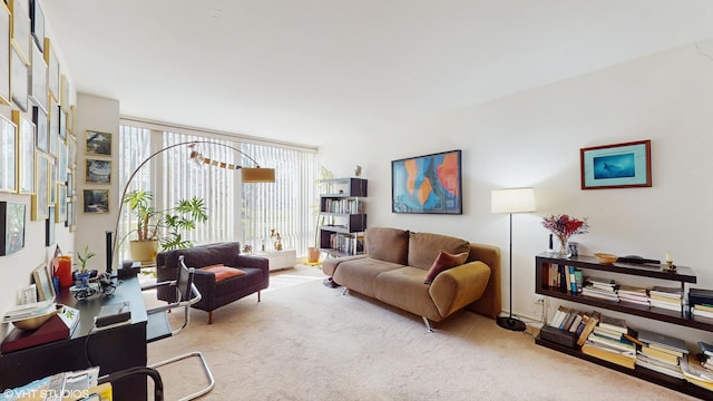601 E 32nd St Unit 211, Chicago, IL 60616 - view of carpeted living room