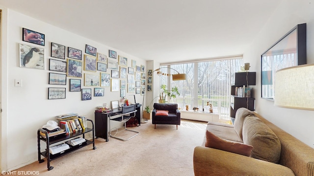 601 E 32nd St Unit 211, Chicago, IL 60616 - living room with carpet floors