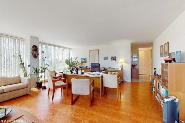 601 E 32nd St Unit 211, Chicago, IL 60616 - living room with light wood finished floors and a desk