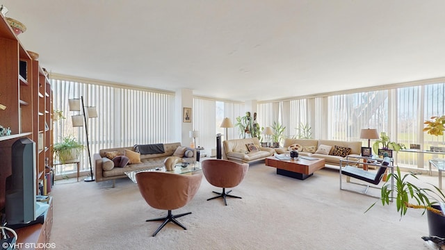 601 E 32nd St Unit 210, Chicago, IL 60616 - living room with carpet floors