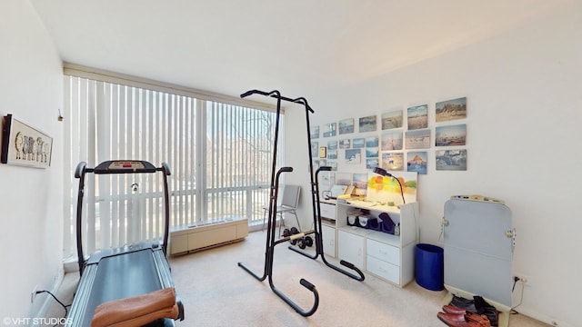 601 E 32nd St Unit 210, Chicago, IL 60616 - exercise room featuring carpet flooring