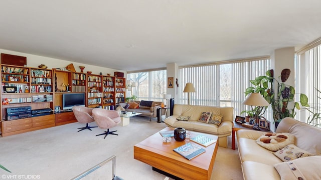 601 E 32nd St Unit 210, Chicago, IL 60616 - living area featuring healthy amount of natural light and carpet flooring