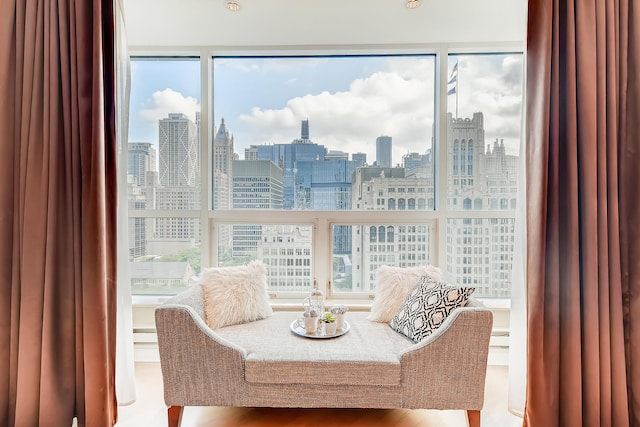 270 E Pearson St Unit 1402, Chicago, IL 60611 - living area featuring a view of skyline