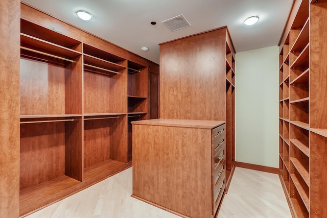 270 E Pearson St Unit 1402, Chicago, IL 60611 - walk in closet featuring light wood-style flooring