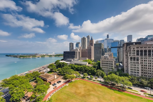 270 E Pearson St Unit 1402, Chicago, IL 60611 - bird's eye view of city skyline and a large body of water