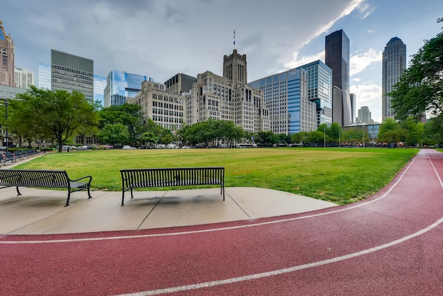 270 E Pearson St Unit 1402, Chicago, IL 60611 - surrounding community featuring a skyline view and a lawn