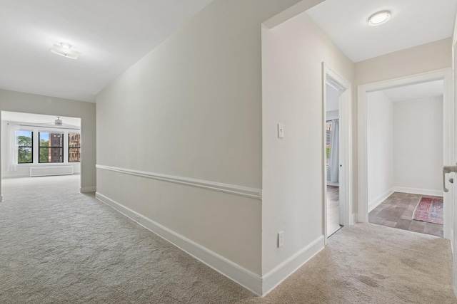 1755 E 55th St Unit 503, Chicago, IL 60615 - hallway featuring carpet floors and baseboards