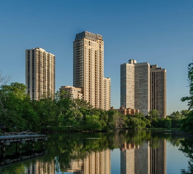 2550 N Lakeview Ave Unit N204, Chicago, IL 60614 - view of city skyline with a large body of water