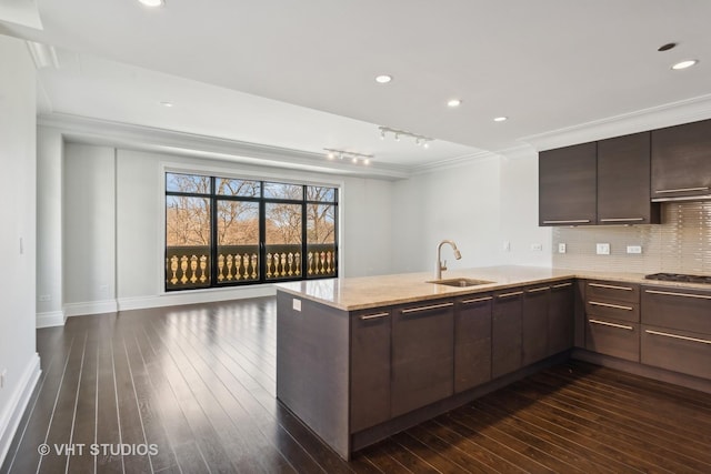 2550 N Lakeview Ave Unit N204, Chicago, IL 60614 - kitchen with a peninsula, dark brown cabinets, crown molding, light stone countertops, and tasteful backsplash