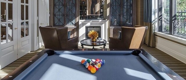 2550 N Lakeview Ave Unit N204, Chicago, IL 60614 - detailed view of billiards and french doors