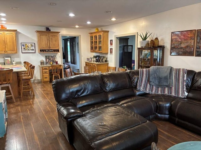 1591 N 2700 E Rd, Sheldon, IL 60966 - living room featuring dark wood finished floors and recessed lighting