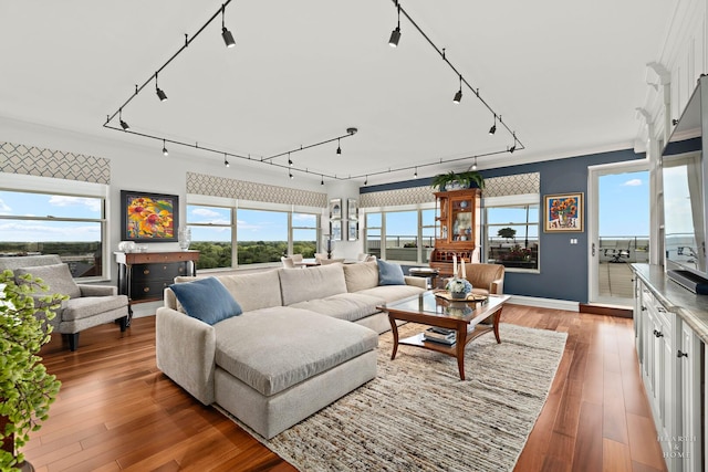 77 S Evergreen Ave Unit 1103, Arlington Heights, IL 60005 - living room featuring track lighting and light wood-type flooring