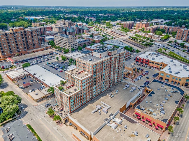 77 S Evergreen Ave Unit 1103, Arlington Heights, IL 60005 - view of urban area