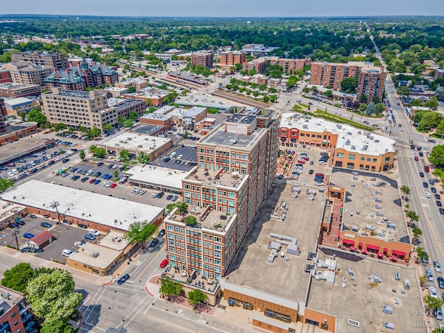 77 S Evergreen Ave Unit 1103, Arlington Heights, IL 60005 - view of urban area
