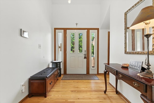3125 Chellington Dr, Johnsburg, IL 60051 - entrance foyer with light wood-style flooring and a high ceiling