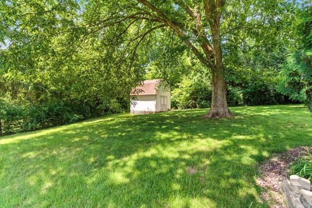 3125 Chellington Dr, Johnsburg, IL 60051 - view of grassy yard with a shed