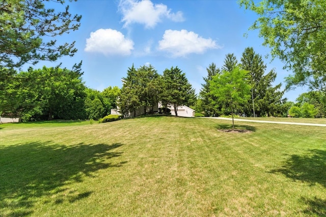 3125 Chellington Dr, Johnsburg, IL 60051 - view of grassy yard