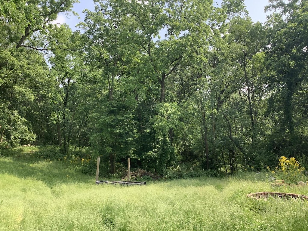 338 Willow St, New Lenox, IL 60451 - photo 2
