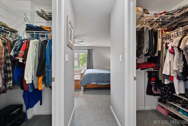 529 Hammer Ln, North Aurora, IL 60542 - walk in closet featuring carpet floors