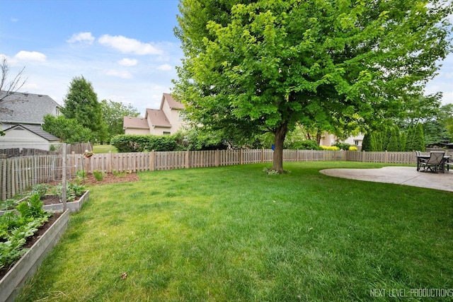 529 Hammer Ln, North Aurora, IL 60542 - fenced backyard featuring a patio area and a garden