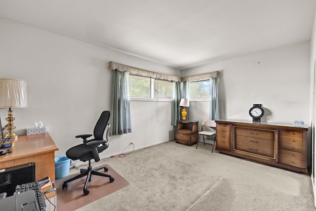 8240 Springfield Ave N, Skokie, IL 60076 - photo 11