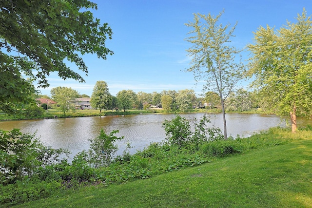6316 Knollwood Ct, Lisle, IL 60532 - water view