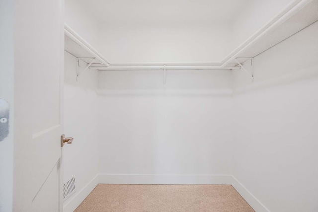 716 Somerset Ln, Darien, IL 60561 - spacious closet with carpet flooring