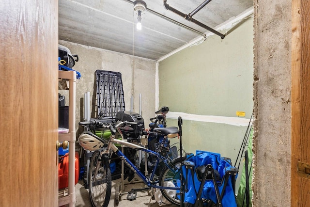 671 Hapsfield Ln Unit 105, Buffalo Grove, IL 60089 - view of storage room